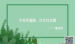 感恩节最新爆料文案,幕后爆料，温情瞬间尽收眼底