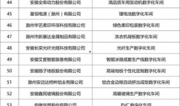 最新爆料工厂名单公布大全,揭秘各行各业制造基地全貌