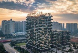 碧桂园房地产最新爆料新闻