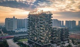 碧桂园房地产最新爆料新闻